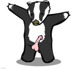  animated badger badger_badger_badger meatspin weebls_stuff 