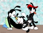  animaniacs dot_warner stefanescu wakko_warner yakko_warner 