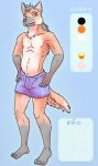  anthro canid canine clothed clothing digital_media_(artwork) hi_res lavilovi looking_at_viewer male mammal maned_wolf nipples simple_background smile solo 