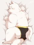  2020 anthro bed blush butt canid canine canis clothing domestic_dog fur furniture hi_res kemono kisort lying male mammal overweight overweight_anthro overweight_male solo underwear white_body white_fur young 