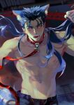  1boy abs alternate_costume angry animal_ears blue_hair blush collar cu_chulainn_(fate)_(all) dog_boy dog_ears earrings fangs fate/stay_night fate_(series) floating_hair groin highres jewelry lancer leash long_hair looking_at_viewer male_focus muscular navel nipples open_mouth open_pants pants pectorals red_eyes solo spiked_hair taro-k type-moon underwear 