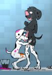  101_dalmatian_street 101_dalmatians 2021 3_toes animal_genitalia anthro balls bassybefuddle black_nose black_spots blue_eyes blue_spots bodypaint brother brother_and_sister canid canine canis collar crouching da_vinci_(101_dalmatians) dalmatian dante_(101_dalmatians) dipstick_tail disney domestic_dog duo feet female floppy_ears fully_sheathed fur genitals grey_body grey_fur grey_hair hair hi_res looking_down male mammal multicolored_tail nude open_mouth orange_body orange_fur orange_spots paint painted_fur pink_body pink_fur pink_inner_ear pink_spots purple_body purple_fur sheath sibling side_view sister smile spiked_collar spikes spots spotted_body spotted_fur standing tile_floor tile_wall toes white_balls 