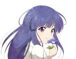  1girl arm_up bangs bare_arms blue_flower commentary eyebrows_visible_through_hair flower furude_rika highres higurashi_no_naku_koro_ni holding holding_flower iris_(flower) long_hair looking_at_viewer looking_back purple_eyes purple_hair shirt short_sleeves shosudo simple_background smile solo white_background white_shirt 