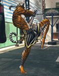  felid high_kick kick male mammal muay_thai pantherine solo thailand tiger 