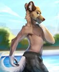 aggressive_retsuko anthro armpit_hair better_version_at_source body_hair clothed clothing haida hi_res hyaenid looking_at_viewer male mammal poolside sanrio solo swimming_trunks swimwear topless trickate 