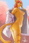  2:3 anthro clothed clothed/nude clothing domestic_cat felid feline felis female flashing hi_res looking_at_viewer mammal nude outside partially_clothed shush siamkhan solo 
