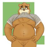  1:1 2021 anthro balls belly blush brown_body brown_fur censored clothing eyewear fur genitals glasses hi_res humanoid_genitalia humanoid_hands humanoid_penis kemono male mammal micropenis moobs navel overweight overweight_anthro overweight_male penis shirt small_penis solo tokyo_afterschool_summoners topwear ursid video_games volos yaki_atsuage 