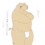  1:1 2014 anthro asian_clothing belly blush clothing domestic_pig east_asian_clothing fundoshi humanoid_hands japanese_clothing japanese_text kemono kuriusagi male mammal navel overweight overweight_anthro overweight_male simple_background solo suid suina sus_(pig) text underwear white_background 