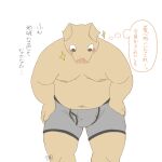  1:1 2014 anthro belly blush bulge clothing domestic_pig humanoid_hands japanese_text kemono kuriusagi male mammal moobs navel nipples overweight overweight_anthro overweight_male simple_background solo suid suina sus_(pig) text underwear white_background 