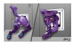  absurd_res anthro anus balls blue_eyes blush border butt confined door fan_character feral fur genitals hi_res looking_down lucario male nintendo pawpads paws pok&eacute;mon pok&eacute;mon_(species) purple_body purple_fur raised_tail rear_view shay-lluxurio skunkiss smile solo stuck stuck_in_door tagme tongue tongue_out video_games white_border 