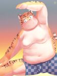  2020 anthro belly blush clothing felid hi_res humanoid_hands huuta_2929 male mammal moobs nipples overweight overweight_anthro overweight_male pantherine solo tiger underwear young 