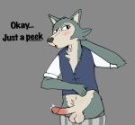  anthro beastars canid canine canis clothed clothing dialogue hi_res legoshi_(beastars) male mammal partially_clothed pubbi_(artist) revealing_penis solo text wolf 