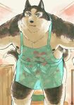  2021 anthro apron belly black_body black_fur bulge canid canine canis clothing domestic_dog fur hi_res husky inside kemono male mammal moobs nipples nordic_sled_dog overweight overweight_anthro overweight_male sawch_cls solo spitz white_body white_fur 