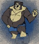  2019 anthro belly black_body black_fur bottomwear clothing eyewear fur glasses hi_res humanoid_hands male mammal moobs overweight overweight_anthro overweight_male pure_command shorts solo tibetan_bear ursid 