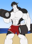  abs anthro barbell beach canid canine canis clothing domestic_dog ear_piercing ear_ring hi_res male mammal muscular muscular_anthro muscular_male piercing seaside solo swimming_trunks swimwear toughset 