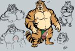  &lt;3 2021 anthro balls blush bottomwear bulge clothing duo felid genitals hi_res loincloth male mammal moobs musclegut nipples pantherine pants penis pure_command simple_background sketch tiger 
