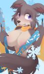 anthro beastars big_breasts breasts brown_body canid canine canis female hi_res juno_(beastars) mammal milkibee mostly_nude nude purple_eyes scarf scarf_only ski snow snowflake snowing solo strategically_covered wolf 