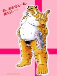  2006 3:4 anthro balls belly blush clothing felid fur genitals humanoid_genitalia humanoid_hands humanoid_penis japanese_text kemono male mammal micropenis mind_drive mizuse_higomaru moobs nipples overweight overweight_anthro overweight_male pantherine penis small_penis solo text tiger underwear white_body white_fur yellow_body yellow_fur 