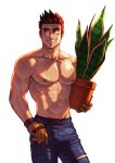  1boy abs bara brown_hair bulge denim gloves highres holding holding_pot jeans looking_to_the_side male_focus mocucumo muscular muscular_male navel nipples original pants pectorals plant pot potted_plant scar scar_on_cheek scar_on_face shirtless short_hair simple_background smile solo spiked_hair white_background 