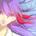  eyebrows_visible_through_hair fate/stay_night fate_(series) flower_on_mouth hair_ribbon heaven&#039;s_feel matou_sakura purple_eyes purple_hair ribbon type-moon ufotable zizou_xingzao 