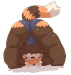  2021 ailurid anthro belly blush bodily_fluids brown_body brown_fur bulge butt clothing fur kemono kota&acute; male mammal orange_body orange_fur overweight overweight_anthro overweight_male red_panda simple_background solo sweat underwear white_background 