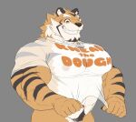  abs anthro blush bottomless bottomless_male clothed clothing felid grin hi_res live-a-hero male mammal muscular muscular_anthro muscular_male nipples pantherine pecs pubes ripped-saurian ryekie_(live-a-hero) smile solo tiger translucent 