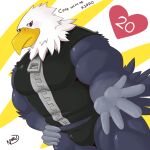  &lt;3 1:1 2017 5_fingers accipitrid accipitriform animal_crossing animal_crossing_pocket_camp anthro apollo_(animal_crossing) avian bald_eagle barazoku beak biceps bird black_body black_eyes black_feathers black_tail_feathers blush bulge clothing dialogue digital_drawing_(artwork) digital_media_(artwork) eagle english_text feathers fingers first_person_view gameplay_mechanics hand_on_leg hand_on_thigh humanoid_hands inviting jacket looking_at_viewer low-angle_view male multicolored_body multicolored_feathers muscular muscular_anthro muscular_male muscular_thighs naruever nintendo pecs portrait reaching_towards_viewer sea_eagle signature simple_background solo suggestive tail_feathers talking_to_viewer text thick_thighs thong three-quarter_portrait topwear underwear video_games white_body white_feathers yellow_beak zipper 