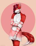  4:5 anthro bottomwear canid canine clothing frexy girly hi_res long_socks male male/male mammal red_body sheenie skirt solo 