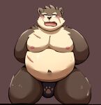  2021 anthro belly brown_body brown_fur bulge canid canine canis clothing domestic_dog fur hi_res kemono male mammal moobs moritaka navel nipples overweight overweight_male re_jin37 scar simple_background slightly slightly_chubby solo tokyo_afterschool_summoners underwear video_games 