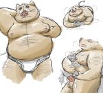  2021 anthro balls blush bodily_fluids brown_body brown_fur canid canine clothing cum duo ejaculation erection fur genital_fluids genitals grey_body grey_fur hi_res hon55728 kemono male mammal moobs nipples overweight overweight_male penis sex size_difference suid suina sus_(pig) underwear wild_boar 