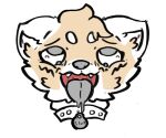  2021 ahegao ailurid anonymous_artist anthro asri_(fritzz) bodily_fluids cheek_tuft collar cute_fangs digital_media_(artwork) drooling eyebrows eyelashes facial_tuft fangs girly grey_eyes headshot_portrait inner_ear_fluff looking_pleasured male mammal open_mouth portrait red_panda saliva simple_background solo tears teeth tongue tongue_out tuft white_background 