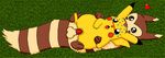 furret nintendo pikachu pokemon tagme 