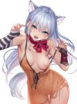  animal_ears breasts dress michiking nipples no_bra nopan see_through tail torn_clothes 