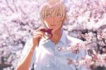  1boy amuro_tooru bangs blonde_hair blue_eyes blurry blurry_background bow cherry_blossoms collarbone collared_shirt commentary_request day dress_shirt falling_petals flower hair_between_eyes hand_up holding holding_bow k_(gear_labo) looking_at_viewer male_focus meitantei_conan open_mouth petals pink_flower red_bow shirt short_hair smile solo spring_(season) tree white_shirt 