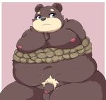  2021 anthro balls bdsm belly blue_eyes bondage bound brown_body brown_fur flaccid fur genitals hi_res kemono kusosensei male mammal moobs navel nipples obese obese_male overweight overweight_male penis rope rope_bondage solo ursid 