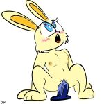  1:1 ahegao anthro big_ears big_eyes blonde_hair blue_eyes breasts dildo dildo_in_pussy dildo_penetration dildo_sitting female hair hi_res juan_jo lagomorph leporid looking_pleasured mammal nude penetration rabbit sex_toy sex_toy_in_pussy sex_toy_penetration simple_background simple_coloring small_breasts solo vaginal vaginal_penetration white_background yellow_body 