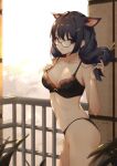  1girl animal_ears backlighting bakemonogatari balcony bangs bare_arms bare_shoulders black-framed_eyewear black_bra black_panties bra braid breasts brown_eyes cat_ears cat_girl cleavage closed_mouth collarbone commentary_request cowboy_shot eyebrows_visible_through_hair faicha from_side glasses hair_ornament hairclip hand_on_own_chest hanekawa_tsubasa holding holding_hair long_hair looking_at_viewer looking_to_the_side medium_breasts monogatari_(series) navel panties semi-rimless_eyewear single_braid smile solo twisted_torso under-rim_eyewear underwear underwear_only 