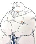  2021 anthro belly black_nose blush clothing fur hi_res kemono male mammal moobs navel nipples overweight overweight_male simple_background solo suishou0602 underwear ursid white_background white_body white_fur 