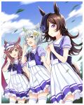  3girls abe_kanari animal_ears blue_eyes blue_flower blue_sky bow brown_hair cloud commentary_request day flower hair_over_one_eye highres horse_ears horse_girl horse_tail long_hair looking_at_viewer machikane_tanhoiza multiple_girls orange_eyes outdoors pleated_skirt purple_bow purple_eyes rice_shower school_uniform seiun_sky serafuku short_hair silver_hair skirt sky standing tail thighhighs umamusume white_legwear white_skirt yawning 