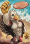 accipitrid accipitriform anthro avian balls beach beak bird brown_body brown_feathers claws countershade_torso countershading eagle feathers flaccid foreskin frisbee genitals hi_res humanoid_genitalia humanoid_penis juiceps male non-mammal_balls penis sand sea seaside solo talons topless_male uncut water white_body white_feathers 