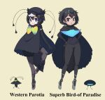  2girls ballet_slippers bangs bird black_cape black_eyes black_gloves black_hair black_headwear black_legwear black_shorts black_sweater blue_eyes bow cabbie_hat cape character_name closed_mouth commentary_request elbow_gloves english_text frilled_shorts frills gloves greater_lophorina_(kemono_friends) grey_footwear hands_on_hips hat highres kemono_friends legwear_under_shorts long_sleeves looking_at_viewer multicolored_neckwear multiple_girls namesake pantyhose ribbed_sweater short_hair shorts smile standing standing_on_one_leg sweater turtleneck western_parotia_(kemono_friends) yamaguchi_yoshimi 