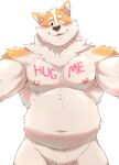  anthro arms_out blush body_writing canid canine canis domestic_dog fur hi_res looking_at_viewer male mammal nipples nude o-ro one_eye_closed open_mouth open_smile overweight overweight_anthro overweight_male pecs simple_background smile solo white_background white_body white_fur 