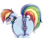  2021 animal_genitalia animal_pussy anus butt clitoris cutie_mark dock equid equine equine_pussy eyes_closed female feral friendship_is_magic genitals hasbro heavymetalbronyyeah hi_res mammal multicolored_tail my_little_pony pussy rainbow_dash_(mlp) rainbow_tail rear_view simple_background solo white_background 