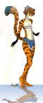  anthro clothing felid garurykai hair hi_res male mammal pantherine saba solo tiger underwear 