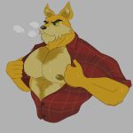  1:1 anthro bodily_fluids body_hair canid canine chest_hair clothed clothing hair hubert_ellis_(neopets) jumpstart_games lupe_(neopets) male mammal muscular muscular_anthro muscular_male neopet_(species) neopets nipples parent pattern_clothing plaid plaid_clothing simple_background solo sweat unknown_artist video_games 