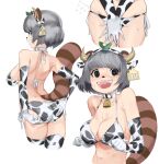  1girl @_@ adjusting_clothes adjusting_swimsuit animal_ears animal_print ass bangs bell bell_collar bikini blush breasts collar covering covering_crotch cow_ears cow_horns cow_print cowbell ear_tag elbow_gloves embarrassed fake_horns gloves grey_eyes hairband highres horns iga-ryuu_ninja_ponpoko large_breasts leaf leaf_on_head looking_at_viewer looking_back mapyuhin_za_puremiyamu multiple_views nervous_smile open_mouth ponpoko_(iga-ryuu_ninja_ponpoko) print_bikini raccoon_ears raccoon_tail short_hair side-tie_bikini simple_background smile strap_gap sweat swimsuit tail virtual_youtuber white_background white_collar 