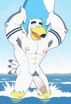  abs anthro anti_dev armpit_hair avian ayden_(brogulls) balls beach beak biceps bird body_hair circumcised genitals gull hi_res lari larid male muscular muscular_anthro muscular_male nipples obliques pecs penis seaside solo surfboard triceps vehicle vein watercraft 