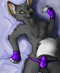  2015 anthro bed bed_sheet bedding black_nose canid canine clothing fox fur furniture gloves grey_body grey_fur grin handwear hi_res male mammal ni3ls one_eye_closed piercing smile smirk solo thong underwear yellow_eyes 