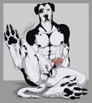  abs animal_genitalia animal_penis anthro anus balls blue_eyes canid canine canine_penis canis claws domestic_dog duo floppy_ears fur genitals great_dane hi_res hindpaw kira_adelay looking_at_viewer male male/male mammal mastiff mixer1981 molosser muscular muscular_male pawpads paws penis sitting white_body white_fur 