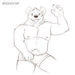  1:1 3000vnd anthro bulge clothed clothing cute_face embarrassed hyaenid male mammal nipples overweight overweight_anthro overweight_male smile solo topless underwear 